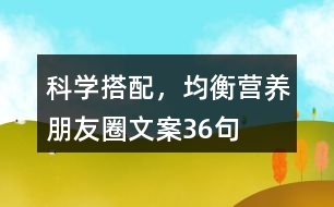 科學(xué)搭配，均衡營(yíng)養(yǎng)朋友圈文案36句
