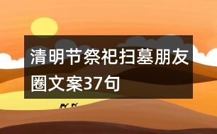 清明節(jié)祭祀、掃墓朋友圈文案37句