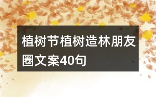 植樹節(jié)、植樹造林朋友圈文案40句