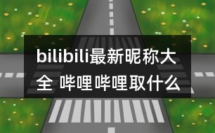 bilibili最新昵稱大全 嗶哩嗶哩取什么名字好323個(gè)