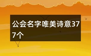 公會(huì)名字唯美詩(shī)意377個(gè)