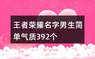 王者榮耀名字男生簡(jiǎn)單氣質(zhì)392個(gè)