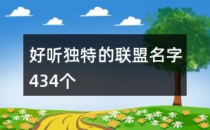 好聽獨(dú)特的聯(lián)盟名字434個(gè)