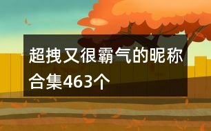 超拽又很霸氣的昵稱合集463個