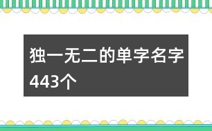 獨(dú)一無二的單字名字443個