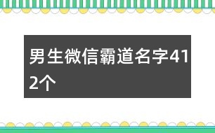 男生微信霸道名字412個(gè)