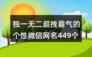 獨(dú)一無二超拽霸氣的個(gè)性微信網(wǎng)名449個(gè)