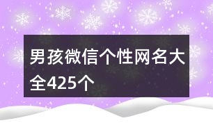 男孩微信個性網(wǎng)名大全425個