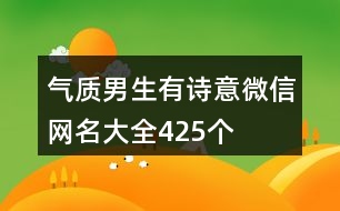 氣質(zhì)男生有詩意微信網(wǎng)名大全425個(gè)