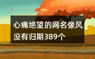 心痛絕望的網(wǎng)名—像風(fēng)沒有歸期389個