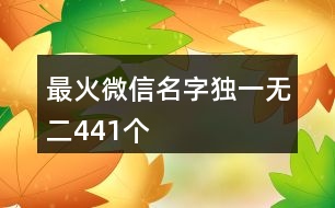 最火微信名字獨(dú)一無二441個(gè)