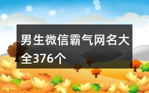 男生微信霸氣網名大全376個