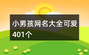 小男孩網(wǎng)名大全可愛401個(gè)