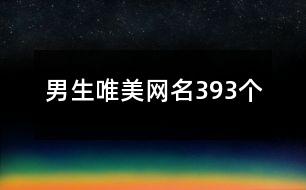 男生唯美網名393個