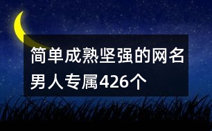 簡單成熟堅(jiān)強(qiáng)的網(wǎng)名男人專屬426個(gè)