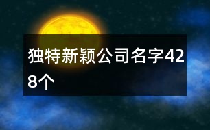 獨(dú)特新穎公司名字428個
