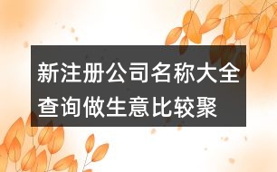 新注冊公司名稱大全查詢,做生意比較聚財?shù)墓久Q438個