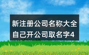 新注冊(cè)公司名稱大全,自己開公司取名字433個(gè)