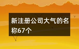 新注冊(cè)公司大氣的名稱(chēng)67個(gè)