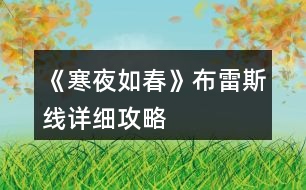 《寒夜如春》布雷斯線詳細攻略