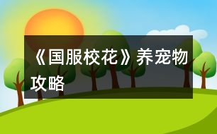 《國服?；ā佛B(yǎng)寵物攻略