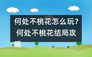 何處不桃花怎么玩？ 何處不桃花結(jié)局攻略