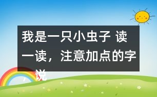 我是一只小蟲子 讀一讀，注意加點(diǎn)的字，說說你的發(fā)現(xiàn)