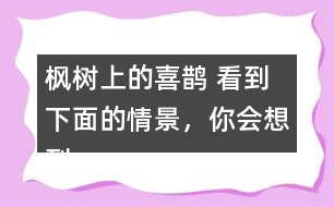 楓樹上的喜鵲 看到下面的情景，你會想到什么?試著寫下來。