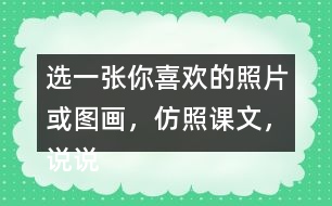 選一張你喜歡的照片或圖畫，仿照課文，說說上面都有什么。