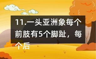 11.一頭亞洲象每個前肢有5個腳趾，每個后肢有4個腳趾，這頭亞洲象一共有多少個腳趾?