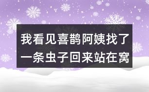 我看見喜鵲阿姨找了一條蟲子回來(lái)站在窩邊，猜猜喜鵲弟弟會(huì)說什么？