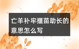 亡羊補牢揠苗助長的意思怎么寫
