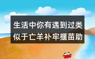 生活中你有遇到過類似于亡羊補(bǔ)牢揠苗助長的事嗎