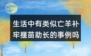 生活中有類似亡羊補牢揠苗助長的事例嗎說一說。