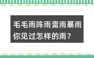 毛毛雨,陣雨,雷雨,暴雨你見(jiàn)過(guò)怎樣的雨？當(dāng)時(shí)的情景？