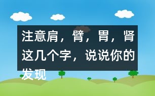 注意肩，臂，胃，腎這幾個(gè)字，說(shuō)說(shuō)你的發(fā)現(xiàn)