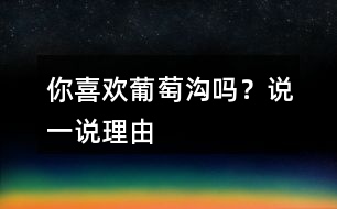 你喜歡葡萄溝嗎？說一說理由