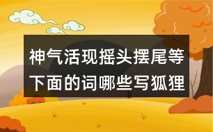 神氣活現(xiàn)搖頭擺尾等下面的詞哪些寫狐貍，哪些寫老虎的