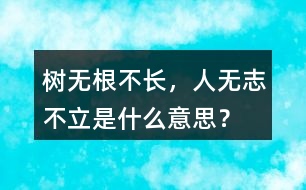 樹無根不長，人無志不立是什么意思？