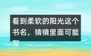 看到柔軟的陽光這個書名，猜猜里面可能寫了什么？