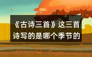 《古詩三首》這三首詩寫的是哪個季節(jié)的景色？你是從哪些地方發(fā)現(xiàn)的？