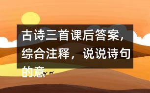 古詩(shī)三首課后答案，綜合注釋，說(shuō)說(shuō)詩(shī)句的意思？