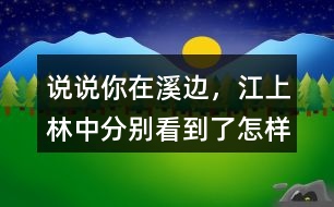 說說你在溪邊，江上、林中分別看到了怎樣的畫面。