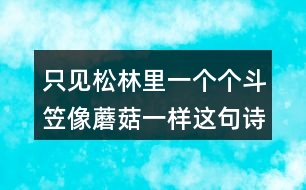只見松林里一個(gè)個(gè)斗笠像蘑菇一樣這句詩的意思是什么？