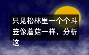只見松林里一個(gè)個(gè)斗笠像蘑菇一樣，分析這句話是什么意思