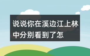 說說你在溪邊、江上、林中分別看到了怎樣的畫面,任選其中一個寫下來