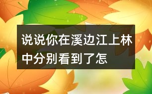 說說你在溪邊、江上、林中分別看到了怎樣的畫面。