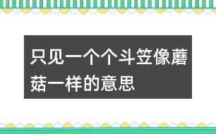 只見(jiàn)一個(gè)個(gè)斗笠像蘑菇一樣的意思
