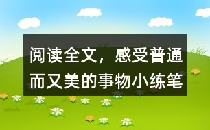 閱讀全文，感受普通而又美的事物小練筆