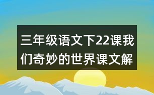 三年級語文下22課我們奇妙的世界課文解析詳細(xì)筆記